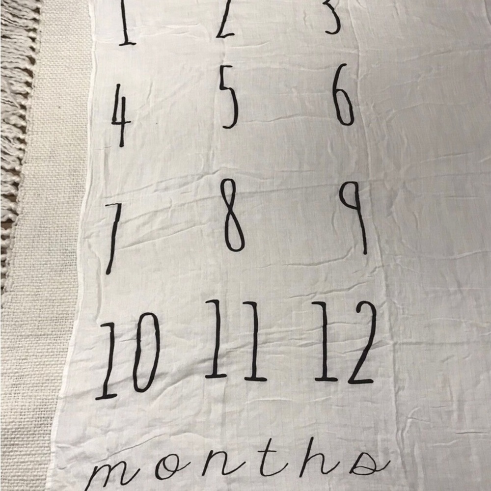 Baby Milestone Blanket